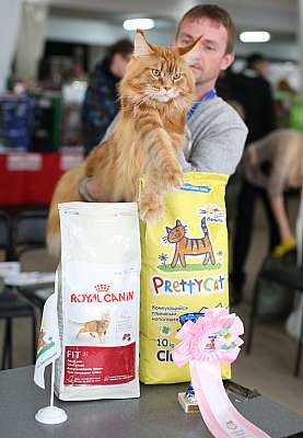 �������� ����� 22-23 ������ 2014 WCF-����� 3-171-169A9435 copy.jpg